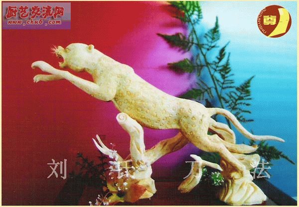 猎豹