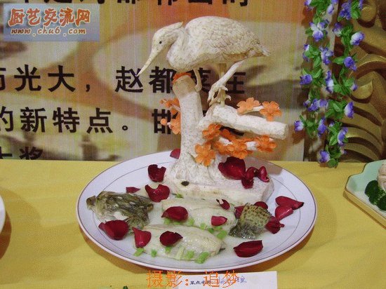 PICT0802.jpg