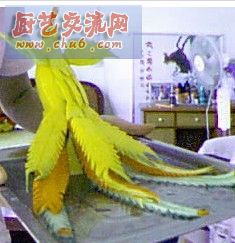 雕刻新手.jpg