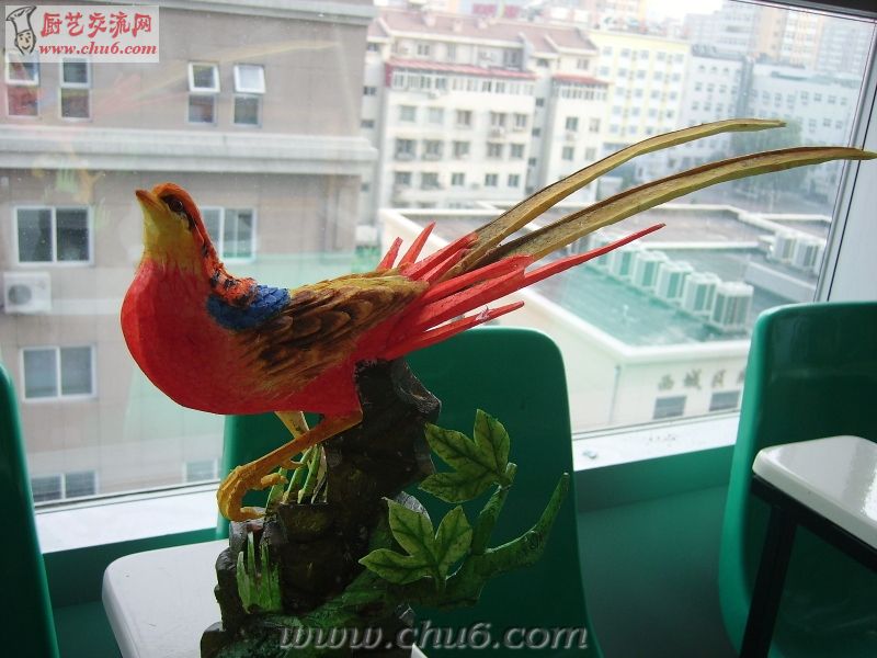 PICT2448.JPG