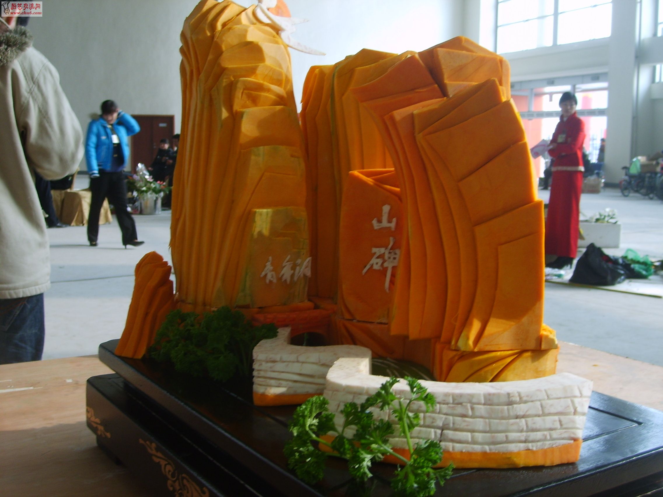 S5003341.JPG