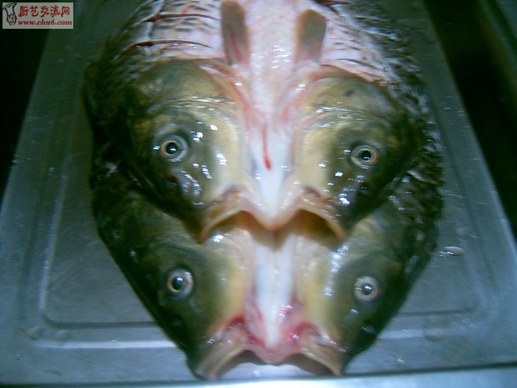 处理好的鱼1.JPG
