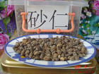 u=1549507476,3738877731&amp;fm=0&amp;gp=6[1].jpg