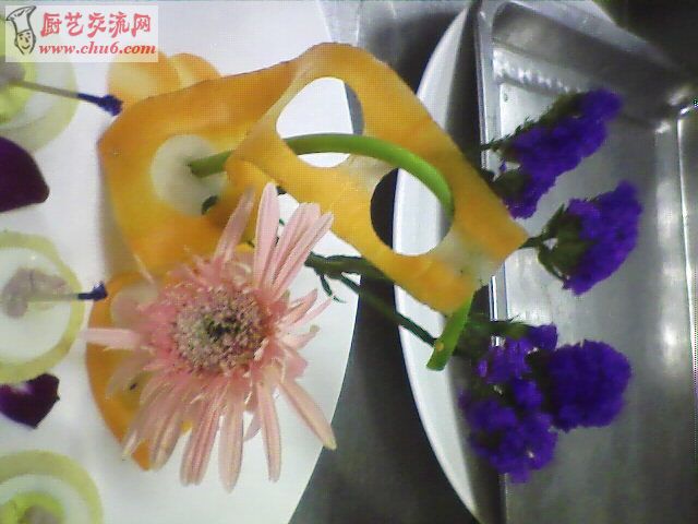 碟头