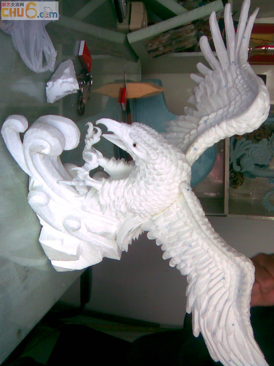 雄鹰展翅.jpg